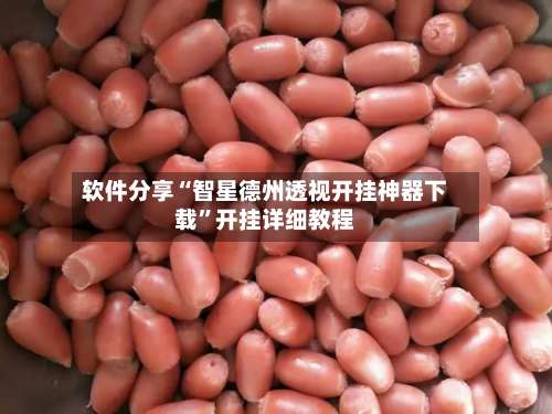 软件分享“智星德州透视开挂神器下载”开挂详细教程-第3张图片