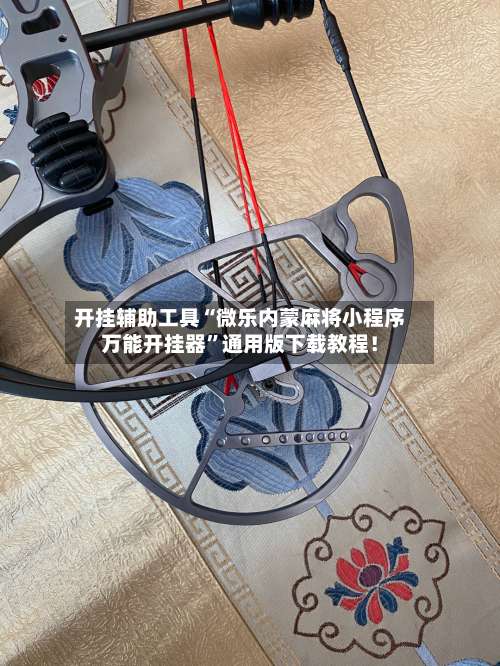 开挂辅助工具“微乐内蒙麻将小程序万能开挂器”通用版下载教程！-第2张图片