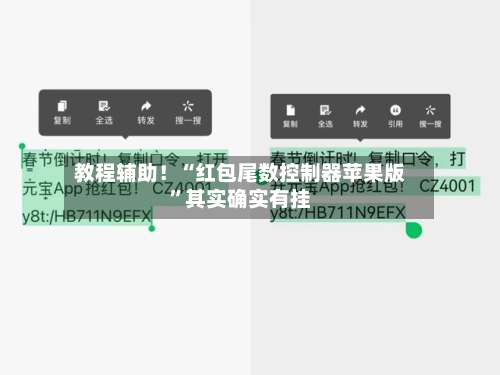 教程辅助！“红包尾数控制器苹果版	”其实确实有挂-第2张图片