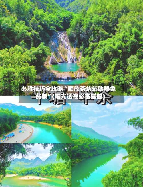 必胜技巧全攻略“顺欣茶坊辅助器免费版”(曝光透视必备猫腻)-第1张图片