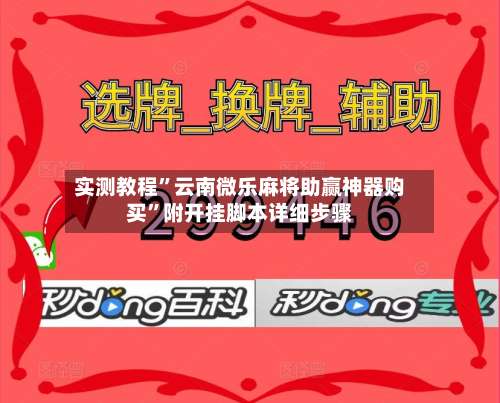 实测教程	”云南微乐麻将助赢神器购买”附开挂脚本详细步骤-第2张图片