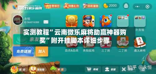 实测教程”云南微乐麻将助赢神器购买	”附开挂脚本详细步骤-第3张图片