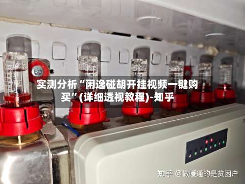 实测分析“闲逸碰胡开挂视频一键购买”(详细透视教程)-知乎-第2张图片