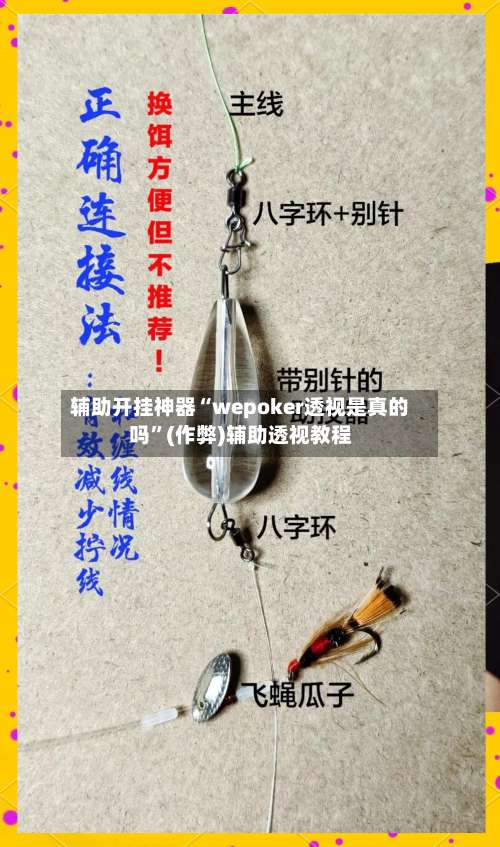 辅助开挂神器“wepoker透视是真的吗”(作弊)辅助透视教程-第3张图片