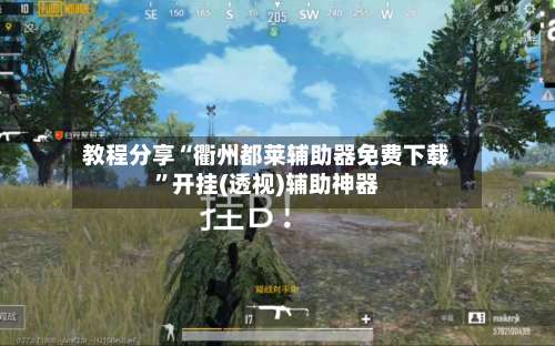 教程分享“衢州都莱辅助器免费下载”开挂(透视)辅助神器-第1张图片