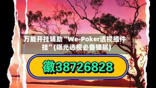 万能开挂辅助“We-Poker透视插件挂	”(曝光透视必备猫腻)-第1张图片