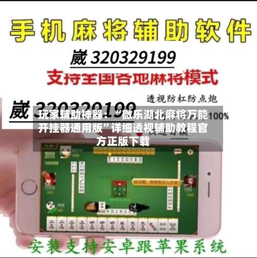 玩家辅助神器：“微乐湖北麻将万能开挂器通用版”详细透视辅助教程官方正版下载-第2张图片