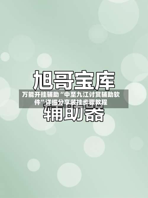 万能开挂辅助“中至九江讨赏辅助软件”详细分享装挂步骤教程-第1张图片