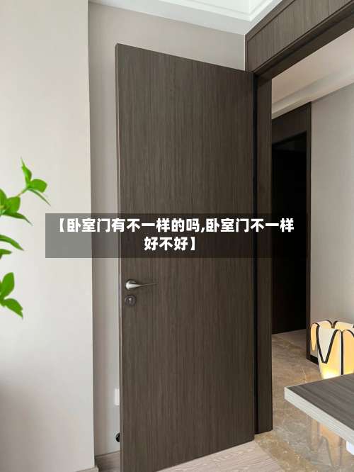 【卧室门有不一样的吗,卧室门不一样好不好】-第1张图片