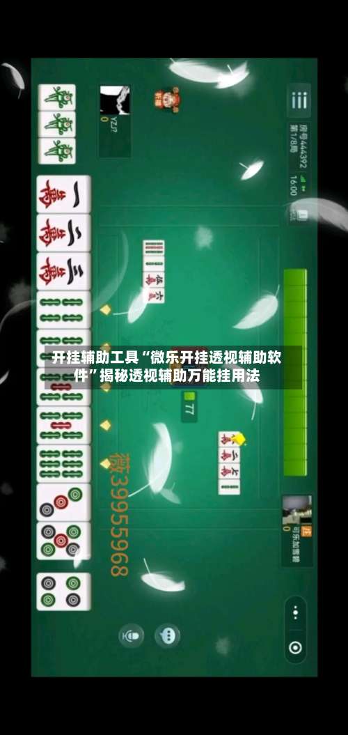 开挂辅助工具“微乐开挂透视辅助软件”揭秘透视辅助万能挂用法-第3张图片