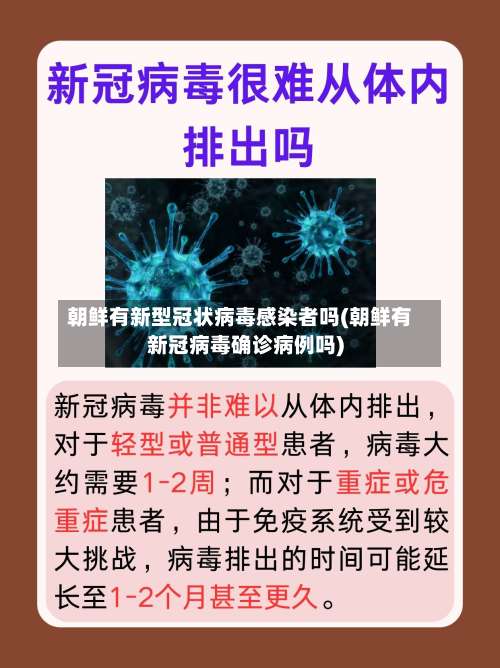 朝鲜有新型冠状病毒感染者吗(朝鲜有新冠病毒确诊病例吗)-第2张图片