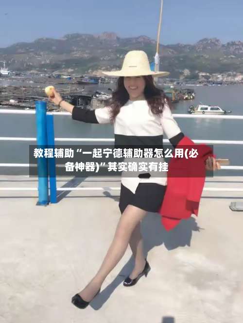 教程辅助“一起宁德辅助器怎么用(必备神器)”其实确实有挂-第2张图片