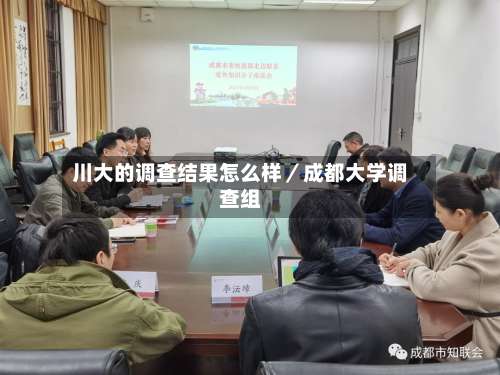川大的调查结果怎么样／成都大学调查组-第3张图片