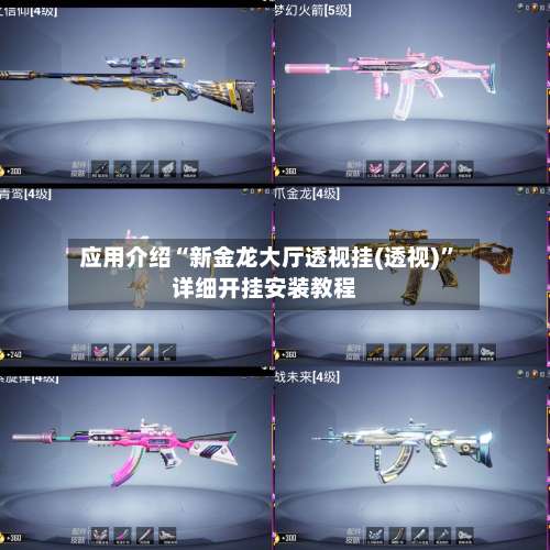 应用介绍“新金龙大厅透视挂(透视)”详细开挂安装教程-第1张图片