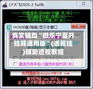 真实辅助“微乐宁夏开挂器通用版	”(透视挂)辅助透视教程-第2张图片