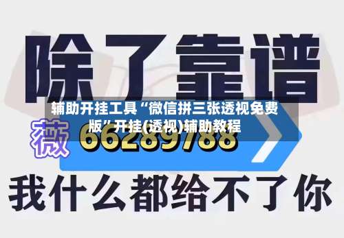 辅助开挂工具“微信拼三张透视免费版”开挂(透视)辅助教程-第2张图片