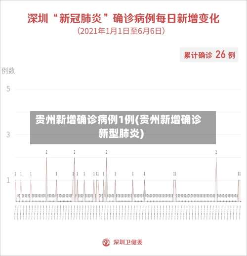 贵州新增确诊病例1例(贵州新增确诊新型肺炎)-第1张图片