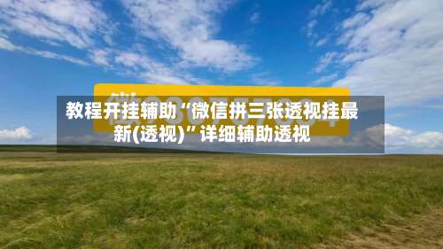 教程开挂辅助“微信拼三张透视挂最新(透视)”详细辅助透视-第1张图片