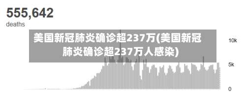 美国新冠肺炎确诊超237万(美国新冠肺炎确诊超237万人感染)-第1张图片
