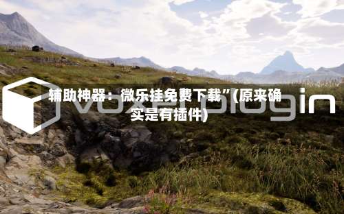 辅助神器：微乐挂免费下载”(原来确实是有插件)-第1张图片