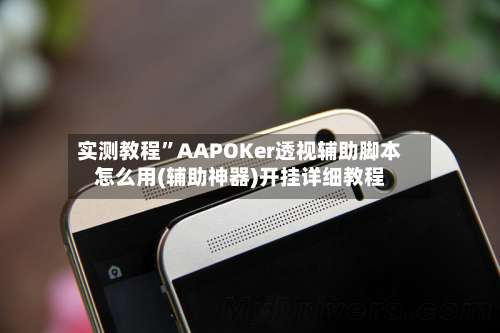 实测教程”AAPOKer透视辅助脚本怎么用(辅助神器)开挂详细教程-第2张图片