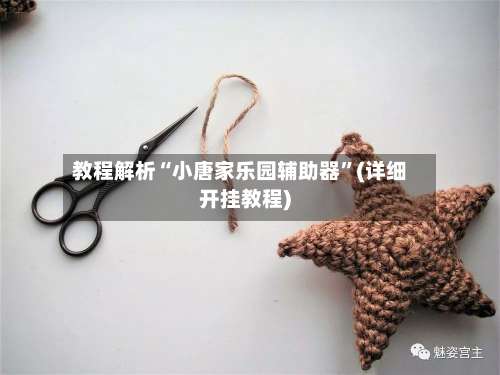 教程解析“小唐家乐园辅助器”(详细开挂教程)-第1张图片