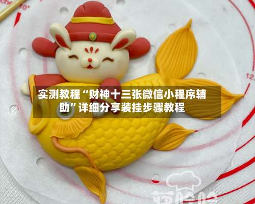 实测教程“财神十三张微信小程序辅助	”详细分享装挂步骤教程-第1张图片