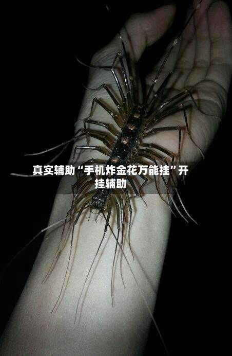 真实辅助“手机炸金花万能挂”开挂辅助-第3张图片