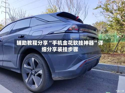 辅助教程分享“手机金花软挂神器”详细分享装挂步骤-第1张图片