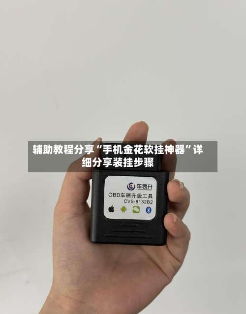 辅助教程分享“手机金花软挂神器	”详细分享装挂步骤-第2张图片