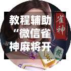 教程辅助“微信雀神麻将开挂神器下载”开挂辅助脚本+详细开挂-第1张图片