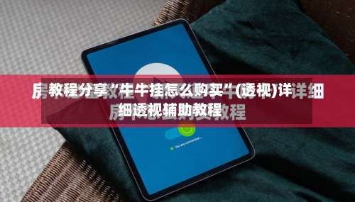 教程分享“牛牛挂怎么购买	”(透视)详细透视辅助教程-第2张图片