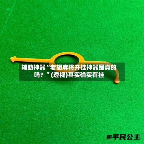 辅助神器“老胡麻将开挂神器是真的吗？”(透视)其实确实有挂-第1张图片