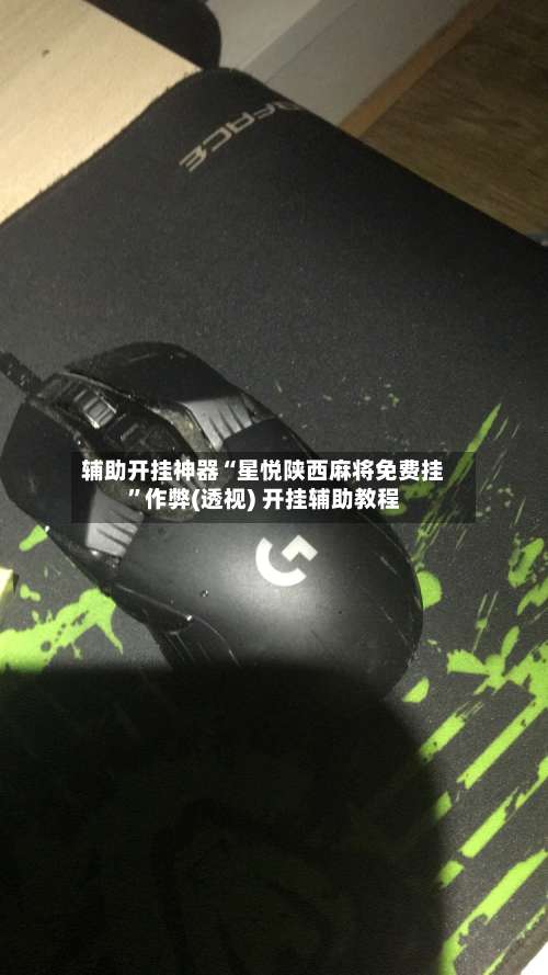 辅助开挂神器“星悦陕西麻将免费挂”作弊(透视) 开挂辅助教程-第3张图片