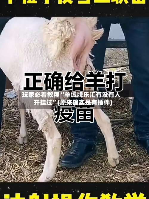 玩家必看教程“羊城牌乐汇有没有人开挂过	”(原来确实是有插件)-第1张图片