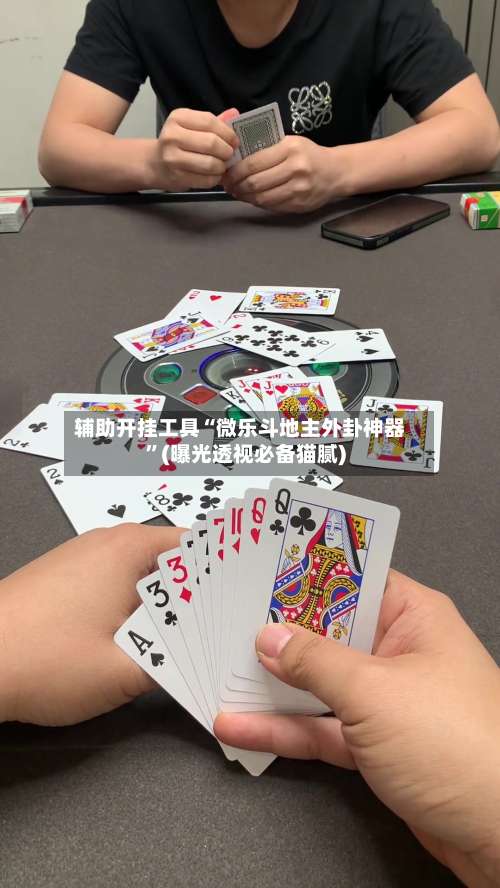 辅助开挂工具“微乐斗地主外卦神器	”(曝光透视必备猫腻)-第3张图片