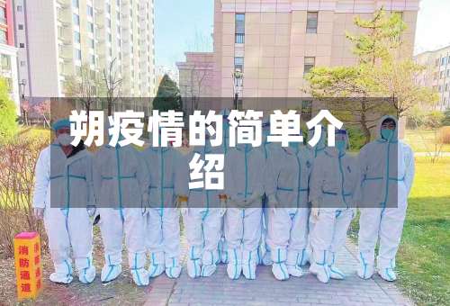 朔疫情的简单介绍-第2张图片