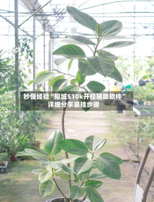 秒懂经验“榕城510k开挂辅助软件	”详细分享装挂步骤-第1张图片