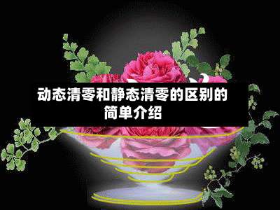 动态清零和静态清零的区别的简单介绍-第3张图片