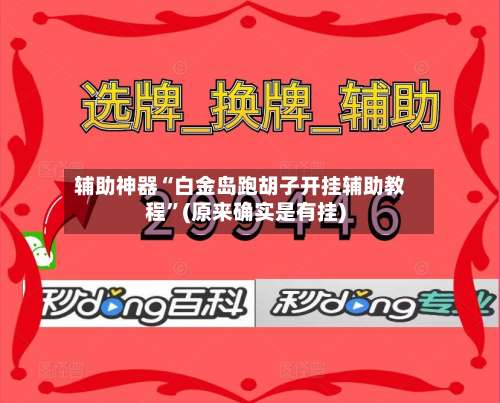 辅助神器“白金岛跑胡子开挂辅助教程	”(原来确实是有挂)-第1张图片
