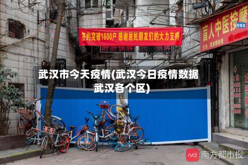 武汉市今天疫情(武汉今日疫情数据武汉各个区)-第2张图片