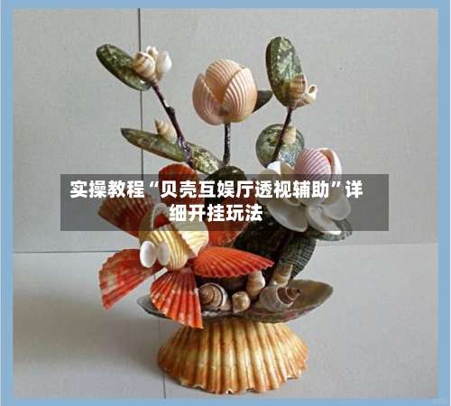 实操教程“贝壳互娱厅透视辅助	”详细开挂玩法-第1张图片