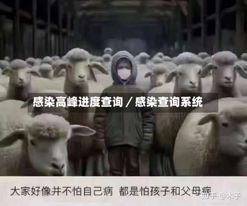 感染高峰进度查询／感染查询系统-第3张图片