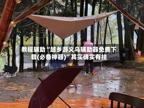 教程辅助“越乡游义乌辅助器免费下载(必备神器)	”其实确实有挂-第3张图片