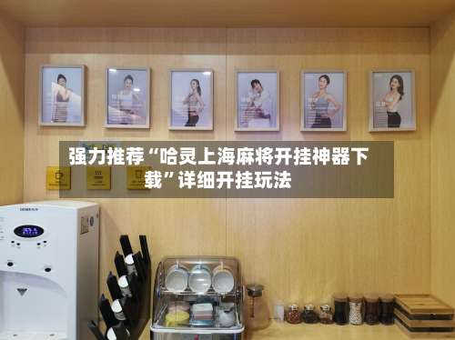 强力推荐“哈灵上海麻将开挂神器下载”详细开挂玩法-第2张图片