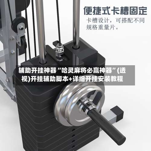 辅助开挂神器“哈灵麻将必赢神器”(透视)开挂辅助脚本+详细开挂安装教程-第1张图片