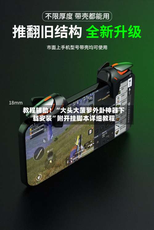 教程辅助！“大头大菠萝外卦神器下载安装”附开挂脚本详细教程-第1张图片