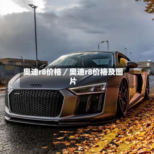 奥迪r8价格／奥迪r8价格及图片-第3张图片