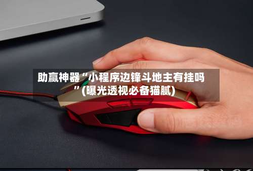 助赢神器“小程序边锋斗地主有挂吗”(曝光透视必备猫腻)-第1张图片