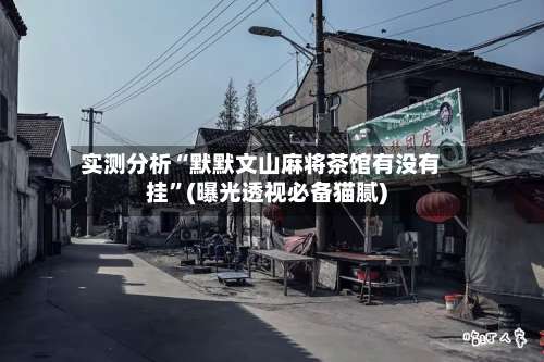 实测分析“默默文山麻将茶馆有没有挂”(曝光透视必备猫腻)-第1张图片